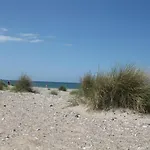 Christian Und Antje Hopp Fehmarn